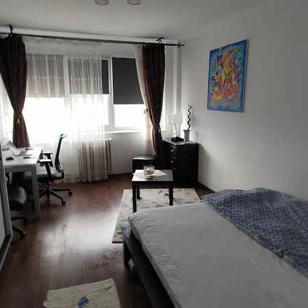 Studio Leo Jassy Zewnętrze zdjęcie